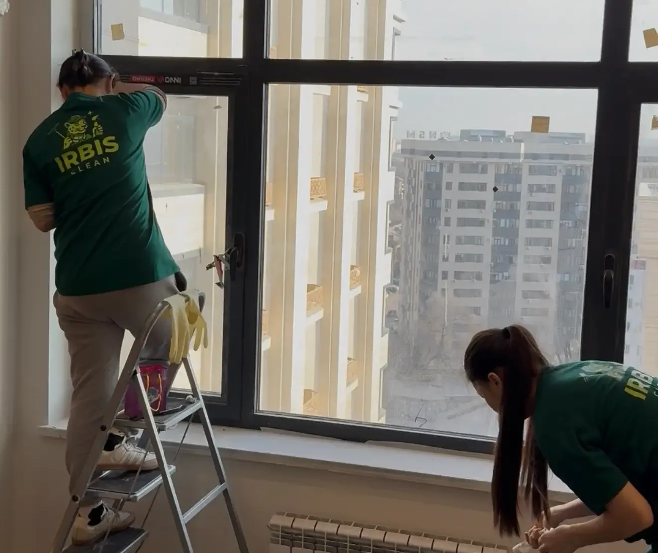 Команда Irbis Clean